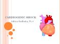 CARDIOGENIC SHOCK Aditya Badheka, PL-1 ETIOLOGY Pump Failur
