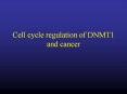 Cell cycle regulation of DNMT1 and cancer Cell cycl