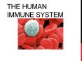 THE HUMAN IMMUNE SYSTEM AIDS ~THE MODERN PLAGUE~ The HI