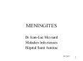 MENINGITES Dr Jean-Luc Meynard Maladies Infectieuses H pita