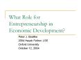 What Role for Entrepreneurship in Economic Development