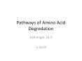 Pathways of Amino Acid Degredation Lehninger 18.3 1/16/0