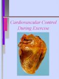 Cardiovascular Functions Delivery Oxygen and nutrient
