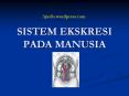 Ajiedu.wordpress.com SISTEM EKSKRESI PADA MANUSIA Prose