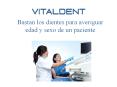 Vital Dent Zaragoza y La Edad a Partir de Los Dientes
