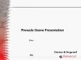 Pinnacle Ozone Presentation For: Ozone & beyond By: * * * 