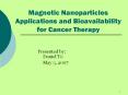 Magnetic Nanoparticles Applications and Bioavailability fo