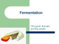 Fermentation The good, the bad, and the smelly History o