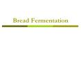 Bread Fermentation Introduction History Bread being one o