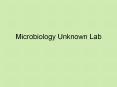Microbiology Unknown Lab TSI agar Triple Sugar Iron Agar (a