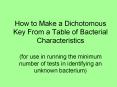How to Make a Dichotomous Key From a Table of Bacteria