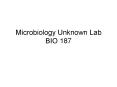 Microbiology Unknown Lab BIO 187 TSI agar Triple Sugar Iro
