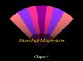 Microbial Metabolism Chapter 5 Metabolism - all of th