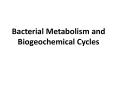 Bacterial Metabolism and Biogeochemical Cycles Redo