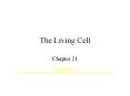 The Living Cell Chapter 21 Great Idea: Life is based o