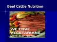 Beef Cattle Nutrition Phase Feeding Females should gai