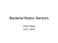 Bacterial Redox Sensors Chao Wang Oct 5, 2005 Jeffrey Gree