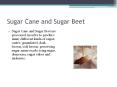 Sugar Cane and Sugar Beet Sugar Cane and Sugar Beet ar