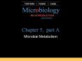 Chapter 5, part A Microbial Metabolism Microbial Metabolis