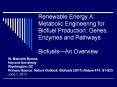 Renewable Energy A: Metabolic Engineering for Biofue