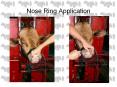 Nose Ring Application Nose Ring Application Nose Rin