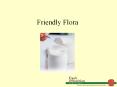 Friendly Flora * Has anyone tried kefir? Kefir originated i