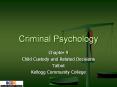 Criminal Psychology Chapter 9 Child Custody and Relate