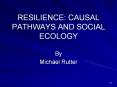 RESILIENCE: CAUSAL PATHWAYS AND SOCIAL ECOLOGY By Michae