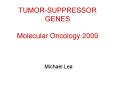 TUMOR-SUPPRESSOR GENES Molecular Oncology 2009 Michael Le