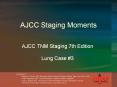 AJCC Staging Moments AJCC TNM Staging 7th Edition Lung Cas