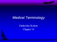 Endocrine System Chapter 14 The functions of the endocrin