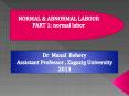 Review session on normal labor