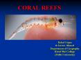 Coral Reefs