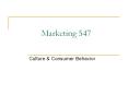 Culture & Consumer Behavior Culture & Consumer Behavior Wha