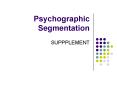 Psychographic Segmentation SUPPPLEMENT Innovators Innovator