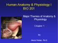 Human Anatomy & Physiology I BIO 201 Major Themes of Anatom