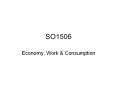 SO1506 Economy, Work & Consumption Lecture Topics Lecture 