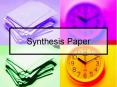 Synthesis Paper What does the synthesis paper do