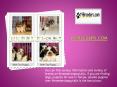 Know More about the Husky Puppies for Sale Store