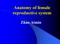 Anatomy of female reproductive system Zhao Aimin Bony pelvi