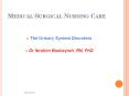 MEDICAL SURGICAL NURSING CARE The Urinary System Disorder