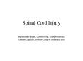 Spinal Cord Injury By Amanda Brown, Cynthia King, Cind