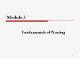 Module 3 Fundamentals of Nursing Nursing as a Professio
