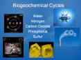 Biogeochemical Cycles Water Nitrogen Carbon Dioxid