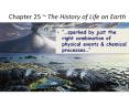 Chapter 25 ~ The History of Life on Earth   sparked by jus