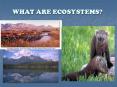 WHAT ARE ECOSYSTEMS? Where Things Live Living things need 