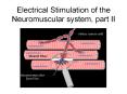 Electrical Stimulation of the Neuromuscular system, part I