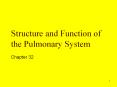 Structure and Function of the Pulmonary System Chapter 3