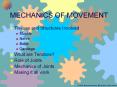 MECHANICS OF MOVEMENT Tissues and Structures Involved Muscl