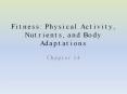 Fitness: Physical Activity, Nutrients, and Body Adaptation